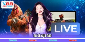 Đá Gà Cựa Dao - Nơi Đam Mê Hòa Cùng Trận Chiến Rực Lửa